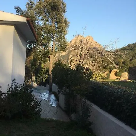 Apartman La Casa Di Carla Olbia