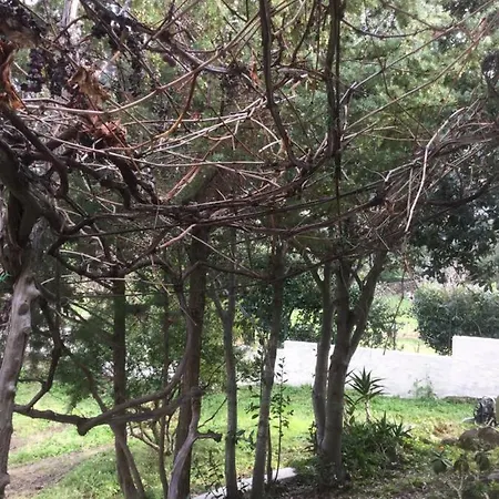 La Casa Di Carla