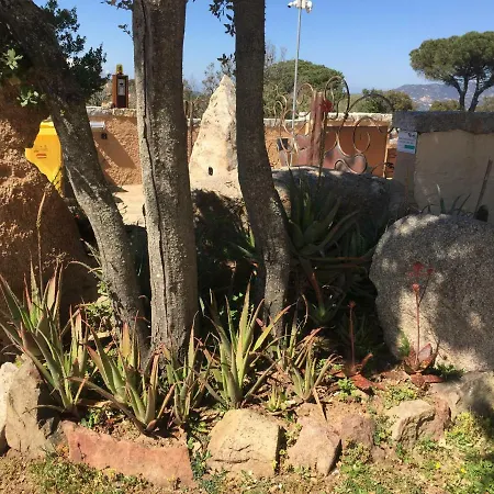 La Casa Di Carla Olbia